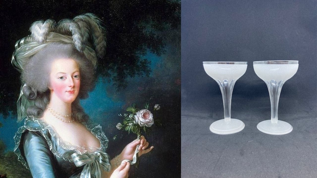 Marie antoinette champagne clearance glass buy